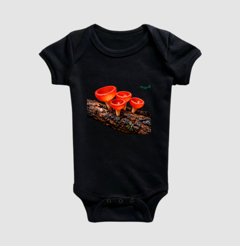 Cogumelos‑taça vermelho