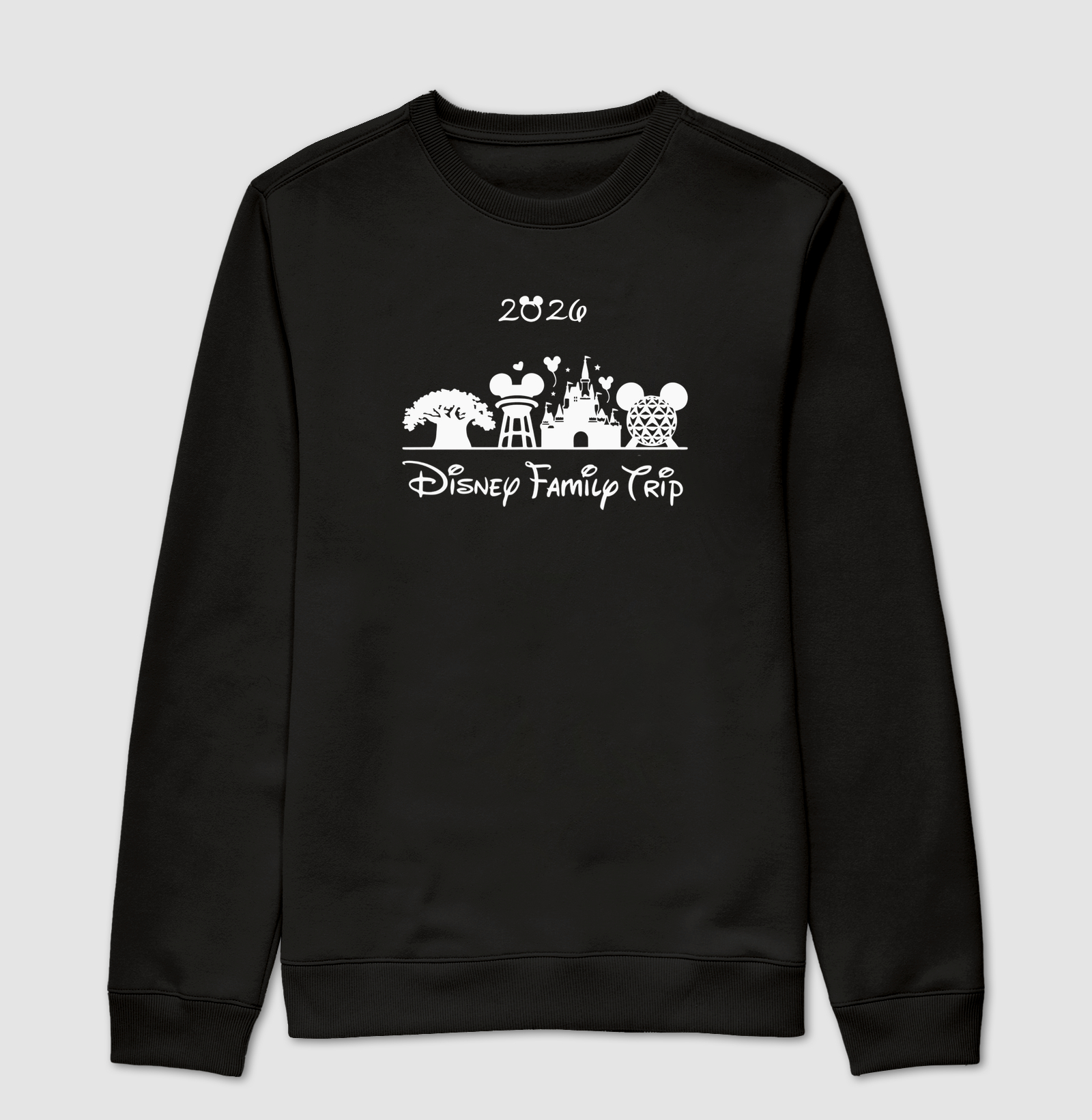 Disney family trip - parques