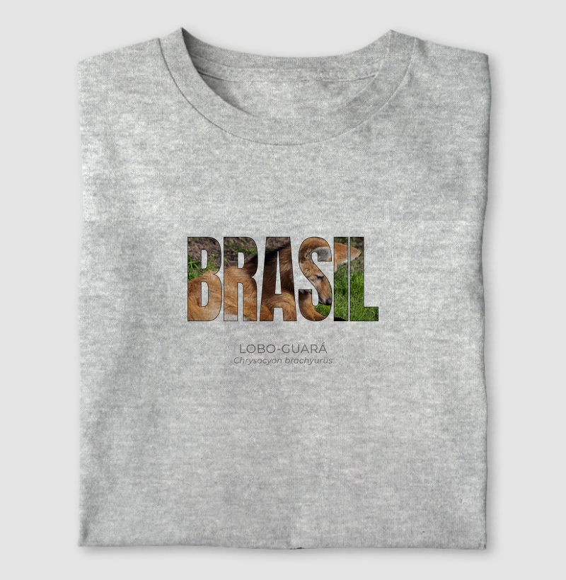 Animais do Brasil – Lobo-guará