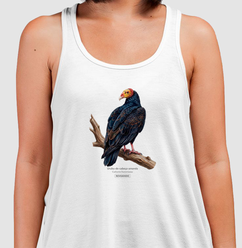 Traços Alados - Urubu-de-cabeça-amarela - Regata