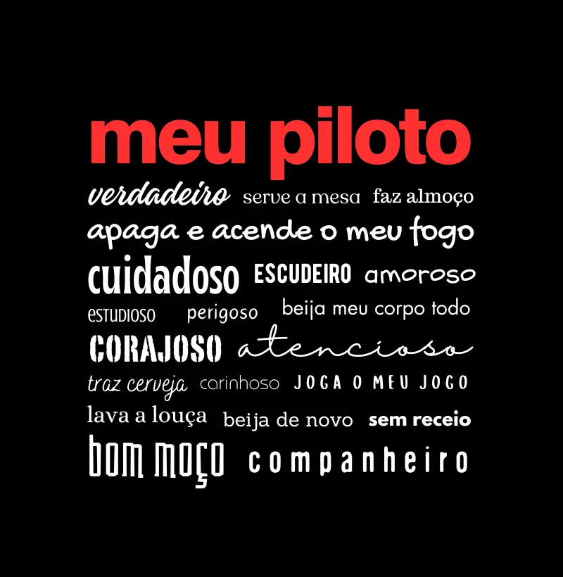 Meu Piloto