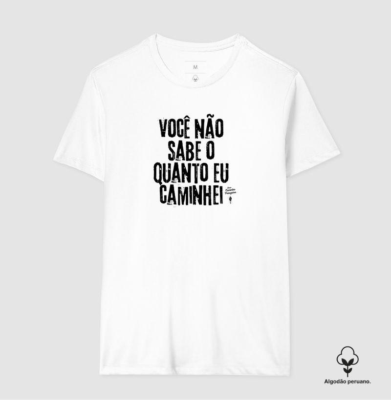 Você Não Sabe o quanto Caminhei