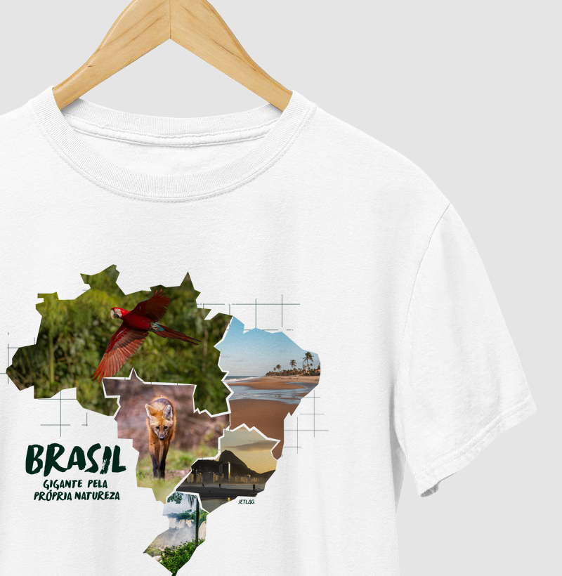 Brasil regiões