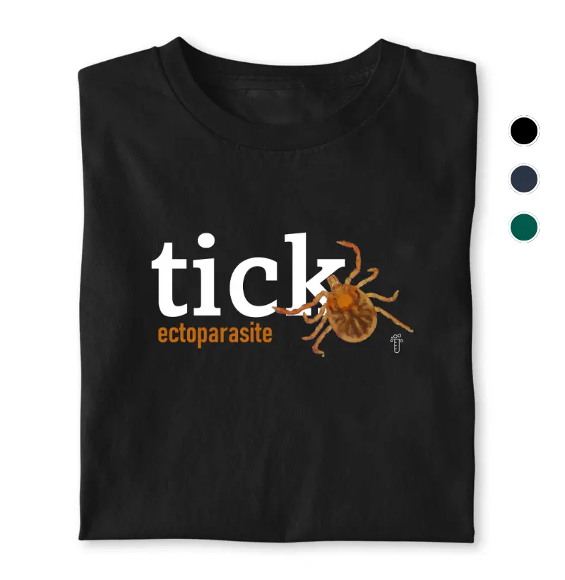 Tick Ectoparasite 