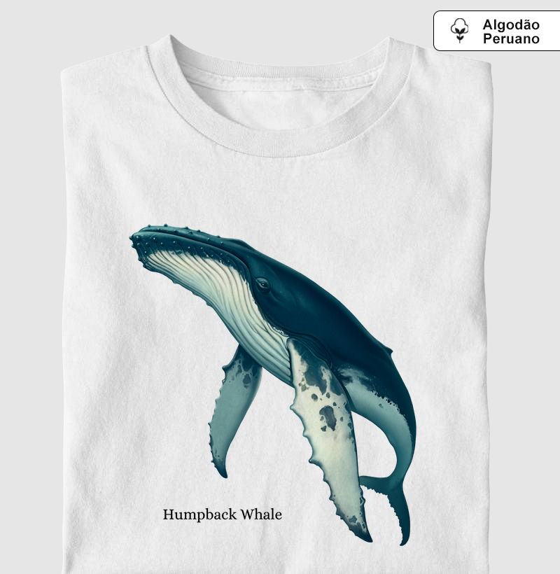 Humpback Whale