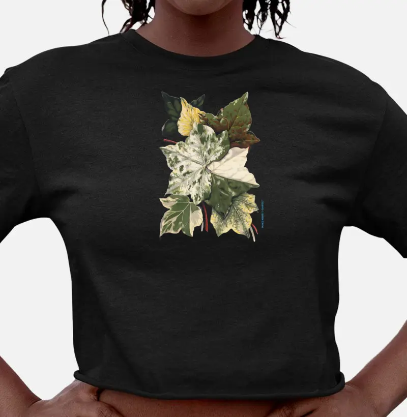 THE IVY, A MONOGRAPHY (1872) por Shirley Hibberd 