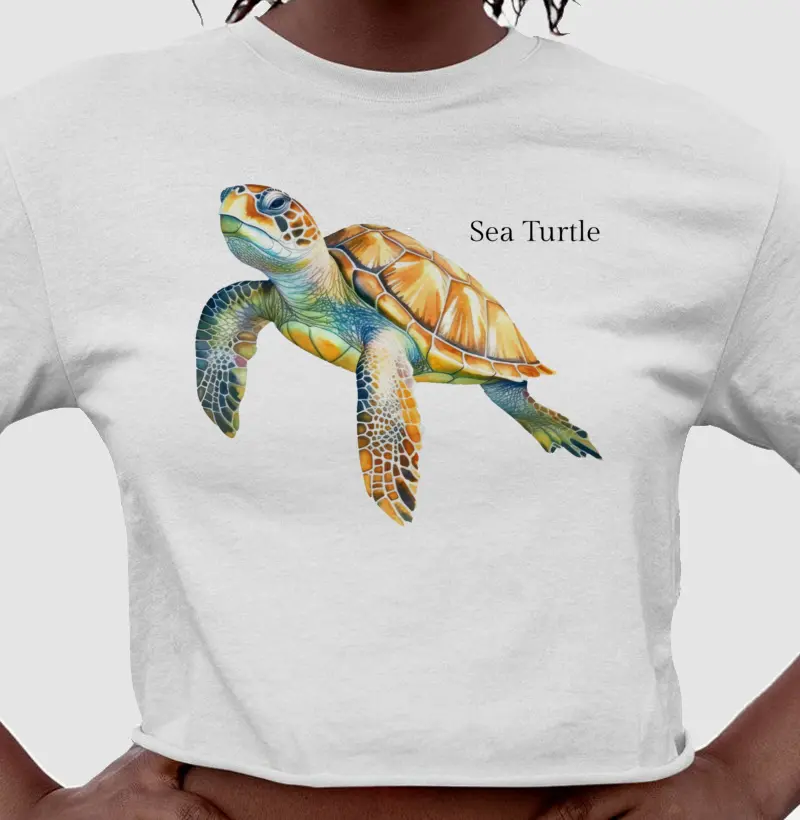 Sea Turtle