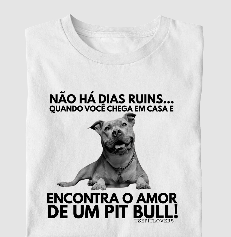 NÃO HÁ DIAS RUINS... QUANDO VOCÊ CHEGA EM CASA E ENCONTRA O AMOR DE UM PIT BULL