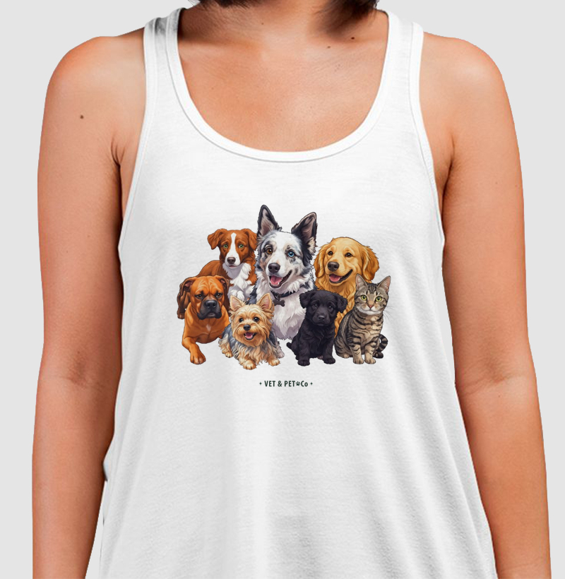 Cachorros e gato