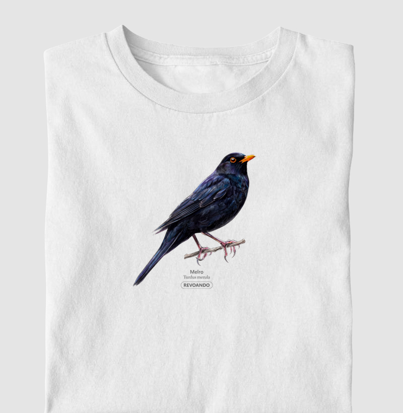 Traços Alados - Melro - Camiseta