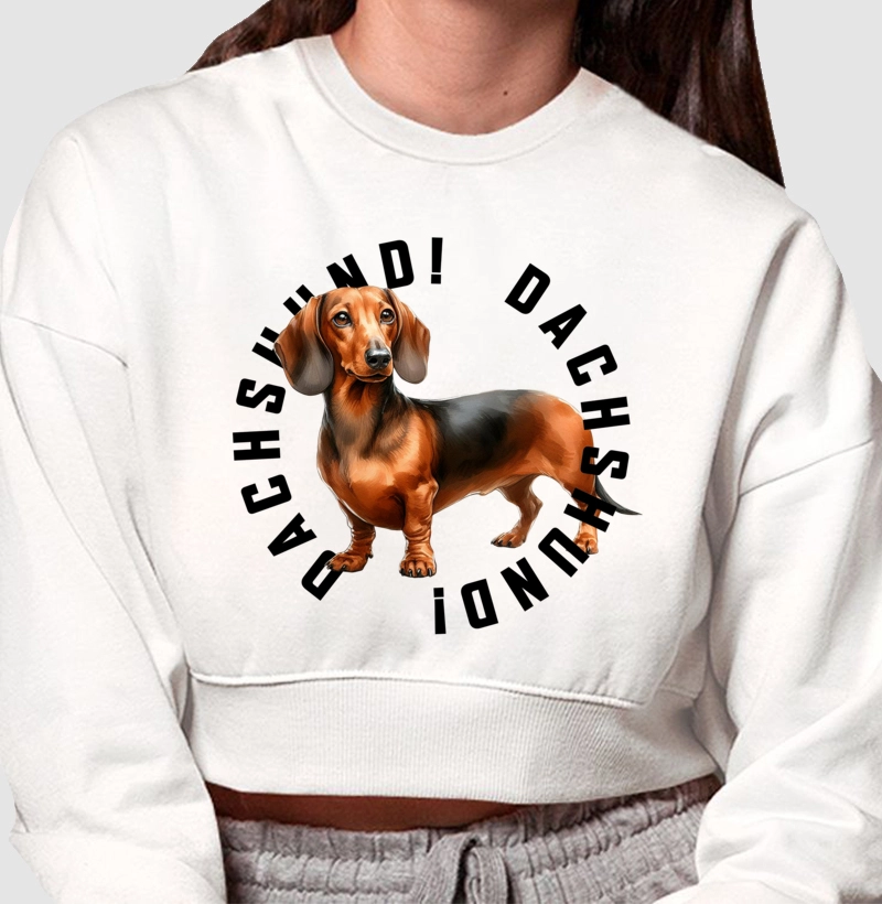 Dachshund! Dachshund! 