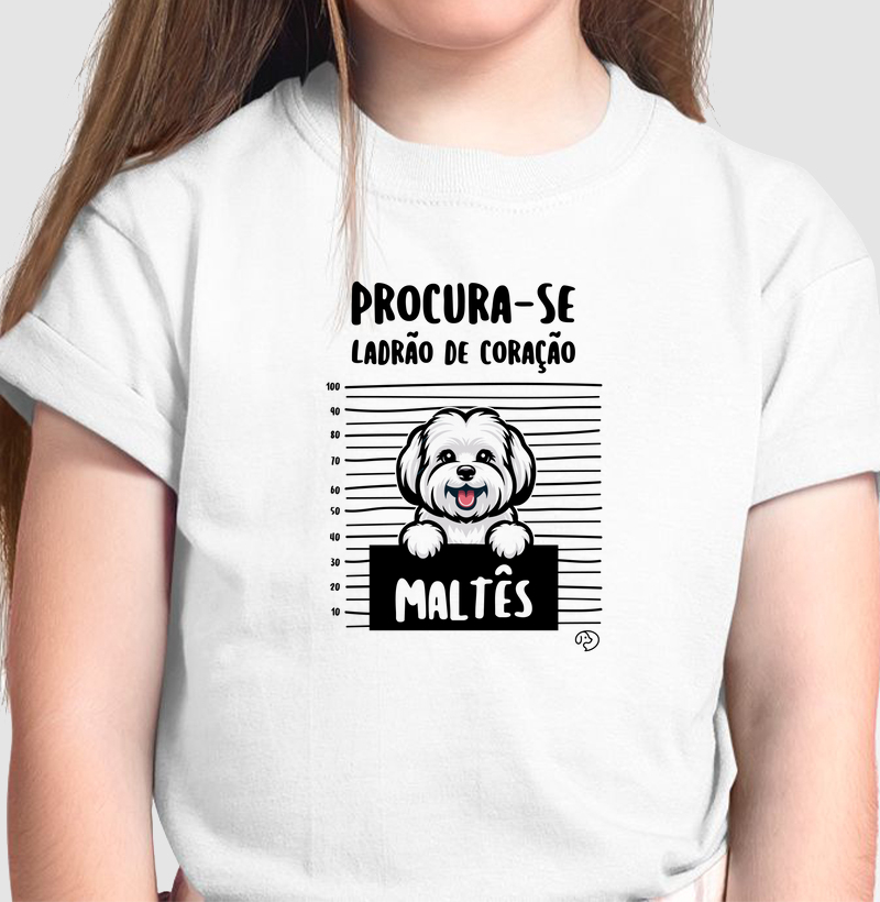 Maltês Ladrão de Coração