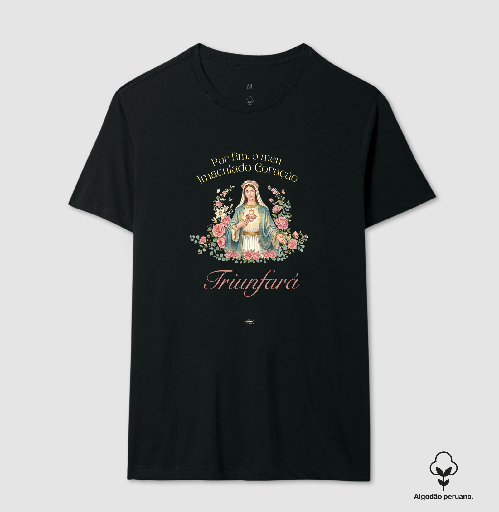 Imaculado Coração de Maria