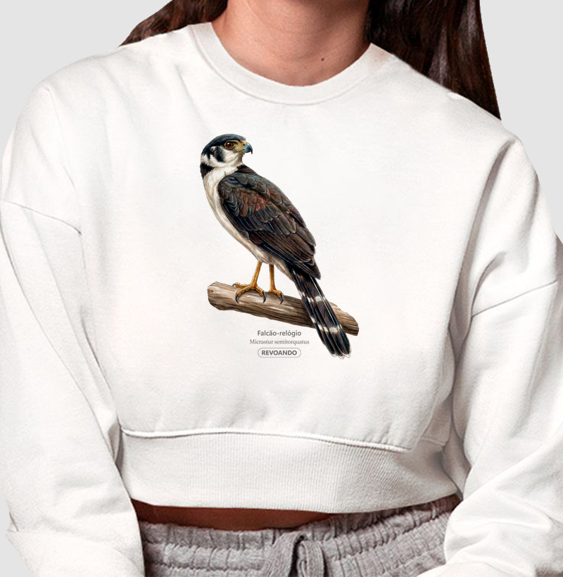 Traços Alados - Falcão-relógio - Moletom Cropped