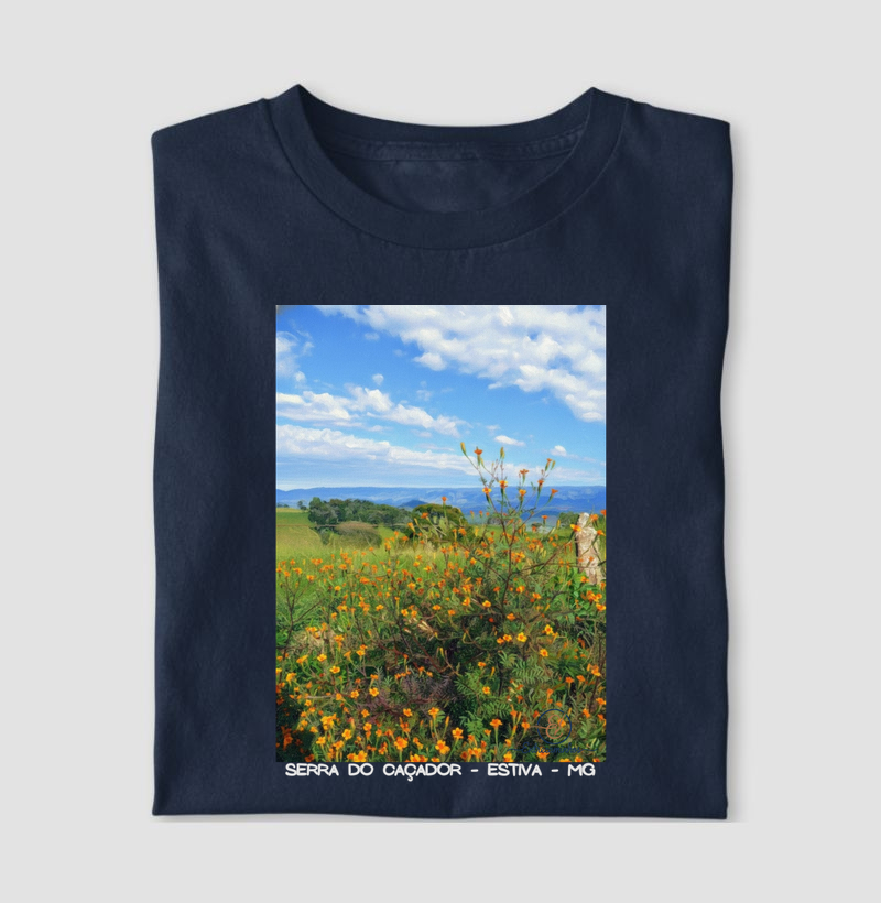 Serra do Caçador Florida (tela)