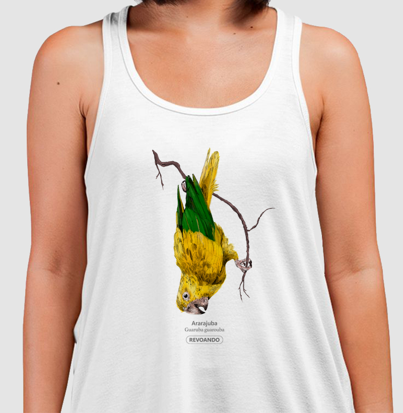 Aves do Brasil - Ararajuba - Regata