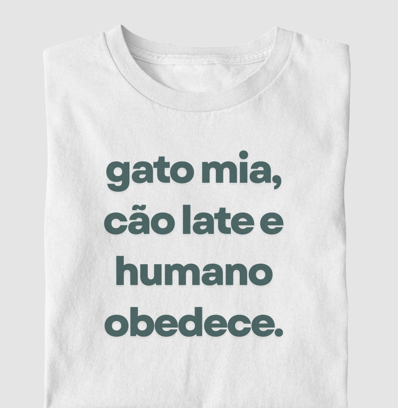 Gato mia, cão late e humano obedece