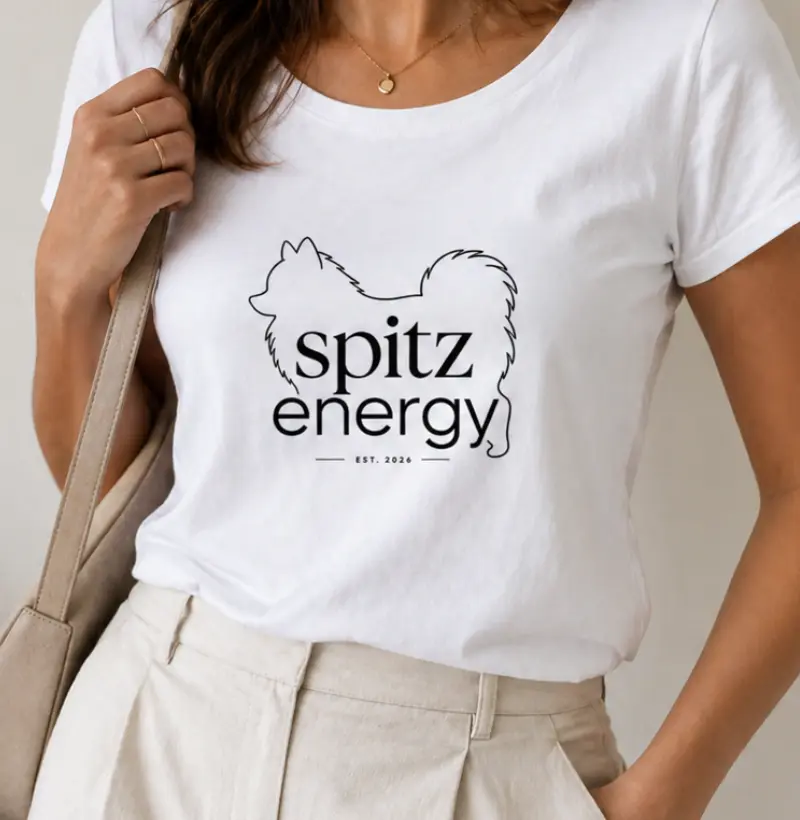 Spitz Energy