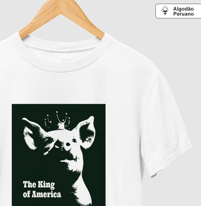 Absolute Cinema (Tec. Peruano)