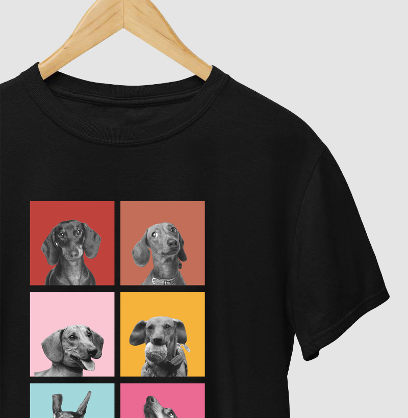 Faces Dachshund