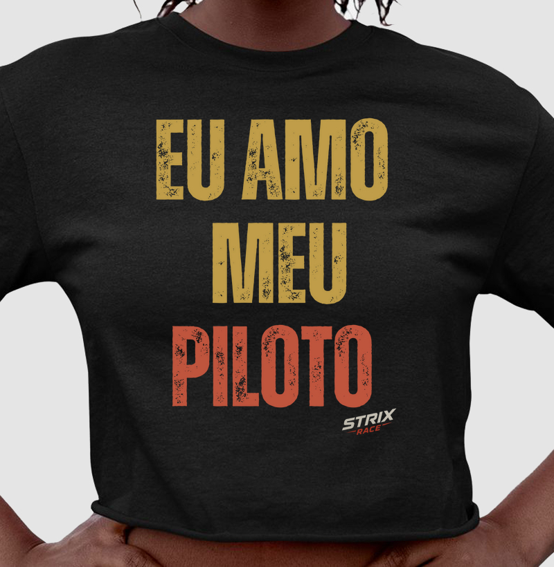 Em Amo Meu Piloto
