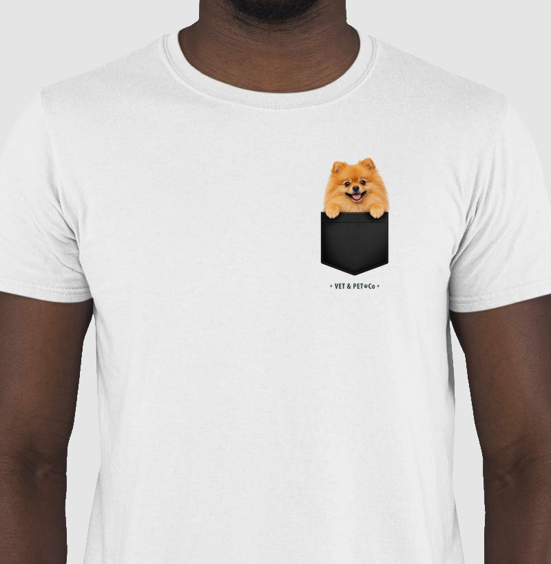 Cachorro de bolso (Sptiz Alemão)