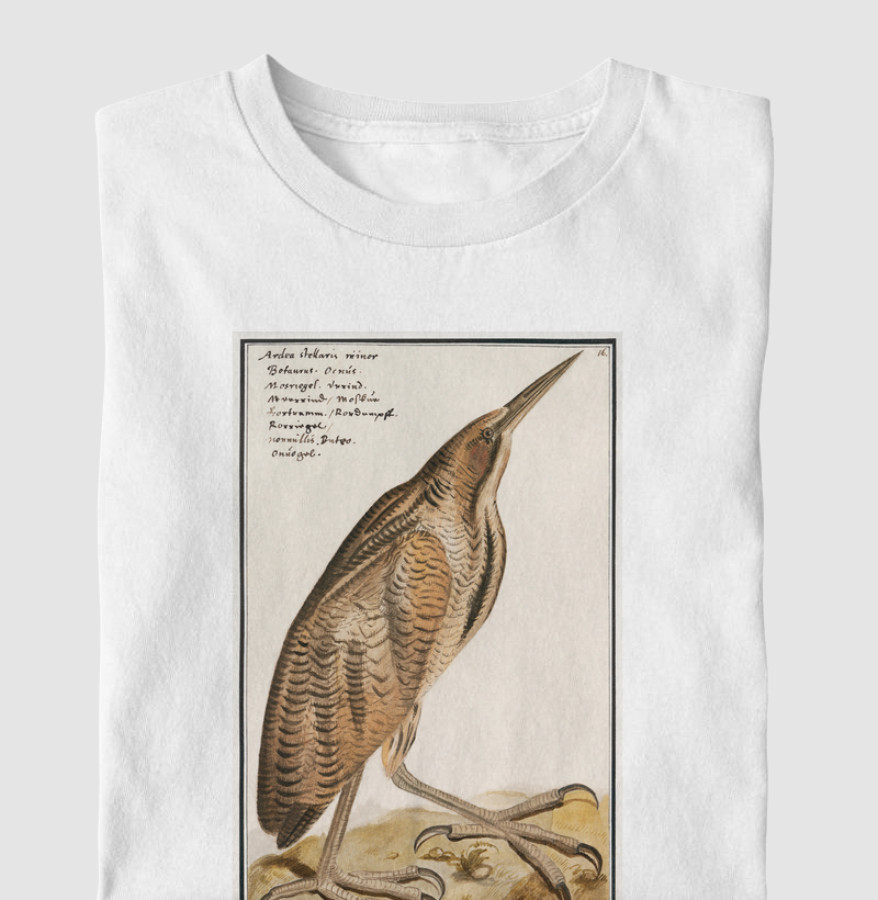 The Bittern