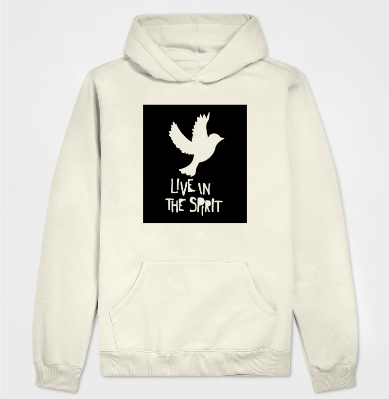 Viva no espírito santo