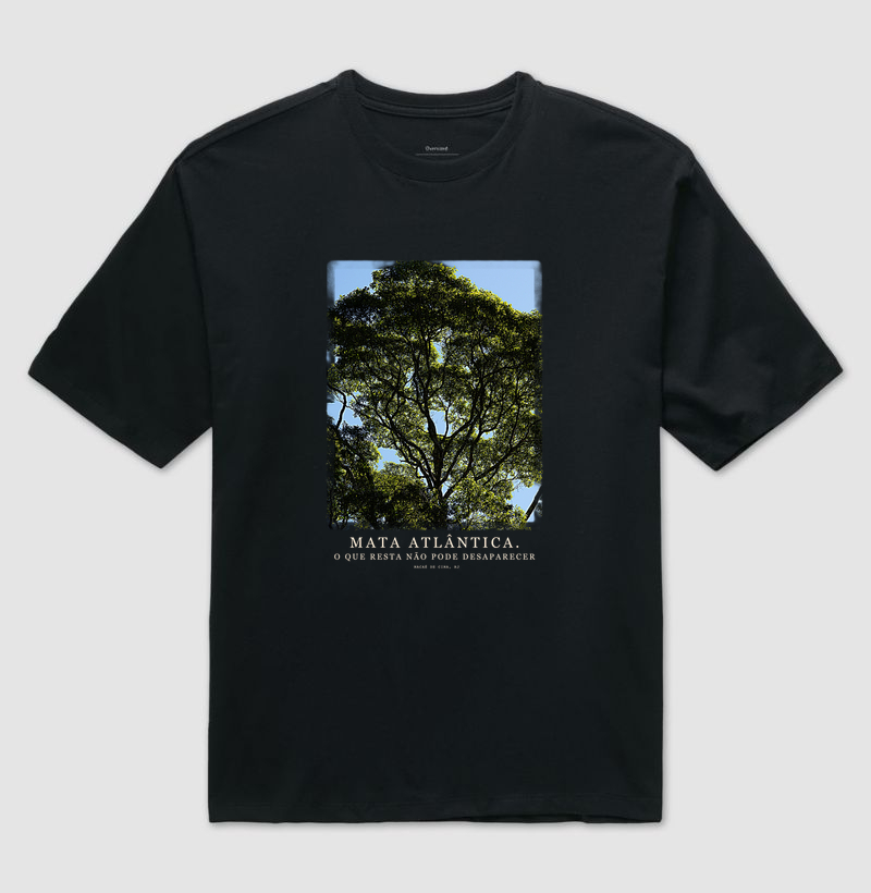 Mata Atlântica