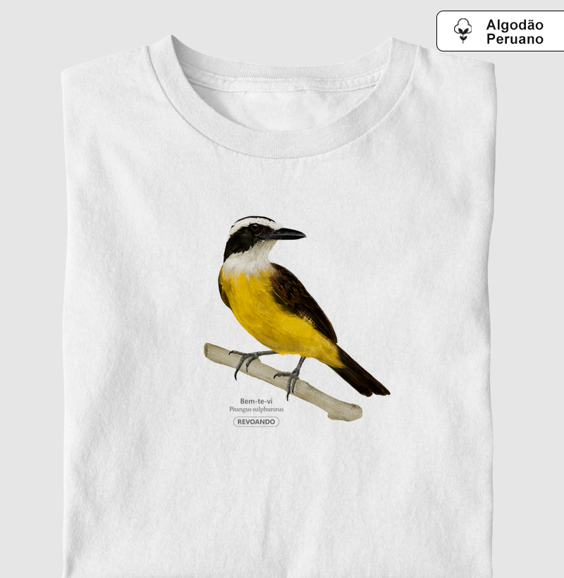 Aves do Brasil - Bem-te-vi - Algodão Peruano