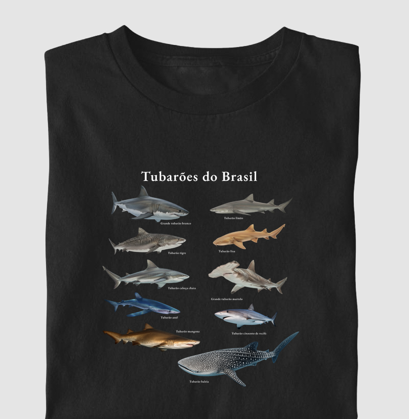 Tubarões do Brasil