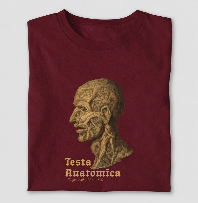 Camiseta Testa Anatomica — Filippo Balbi