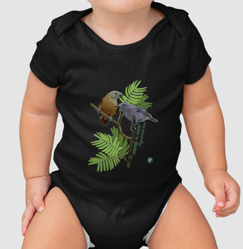 Body Choquinha-de-alagoas