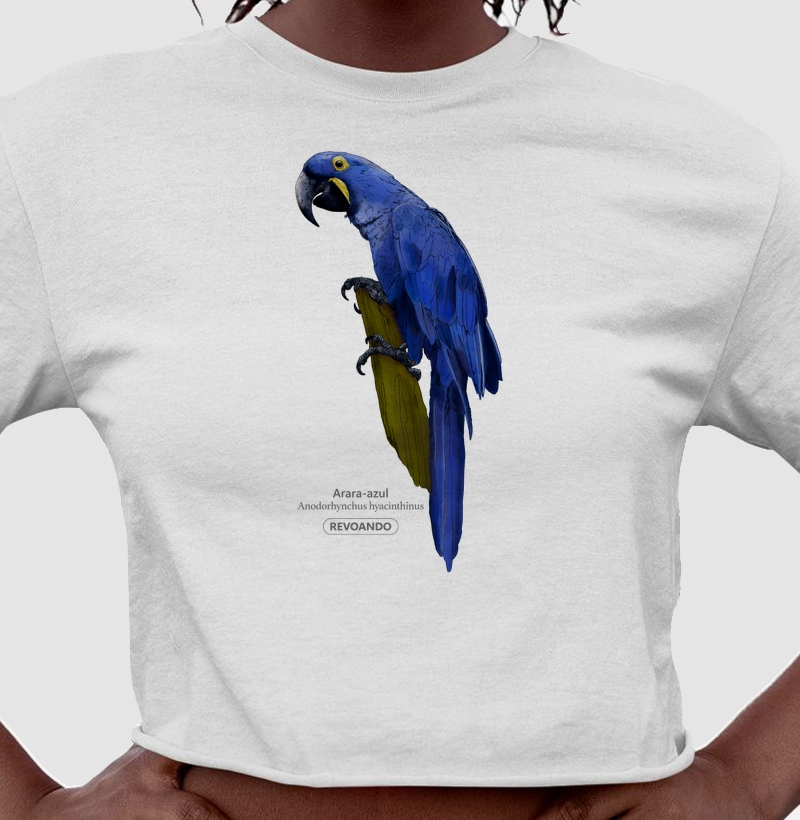 Aves do Brasil - Arara-azul - Cropped