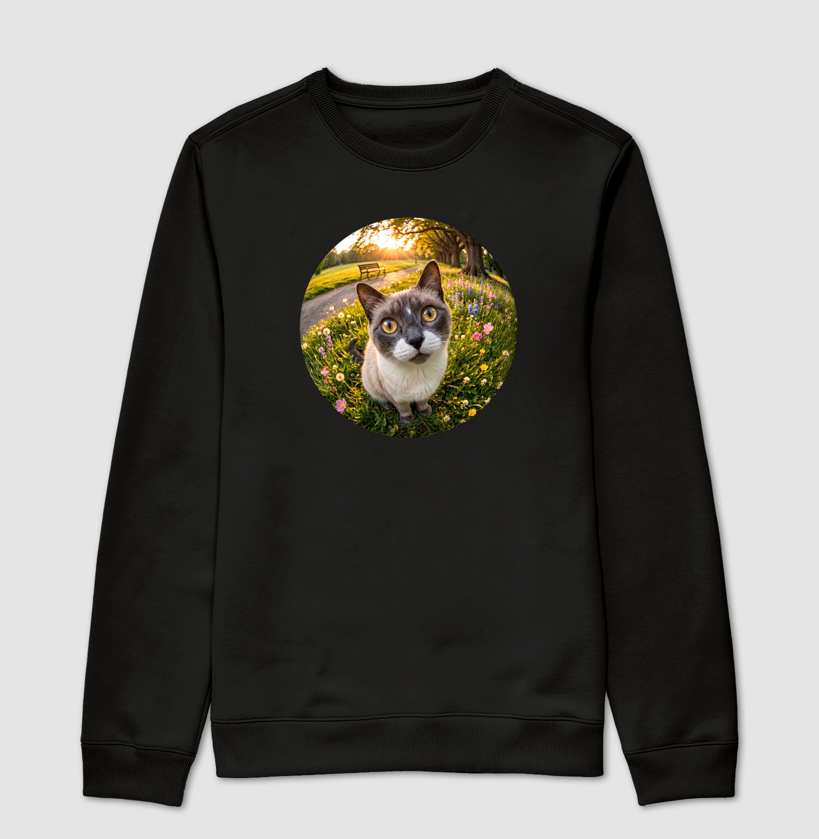 Gato Cinza de Olho em Você
