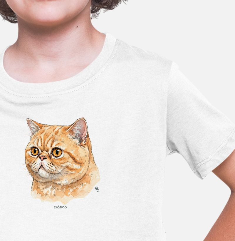 Gatos - Exótico - Infantil