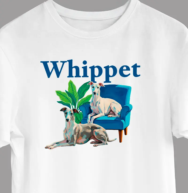 Whippet