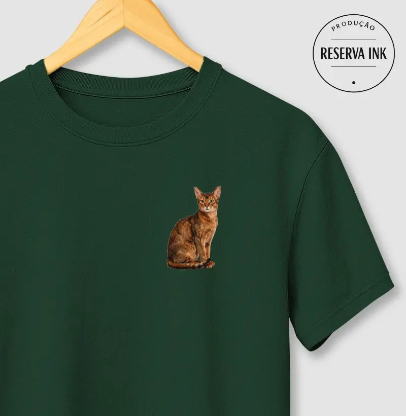 Gato Abissínio