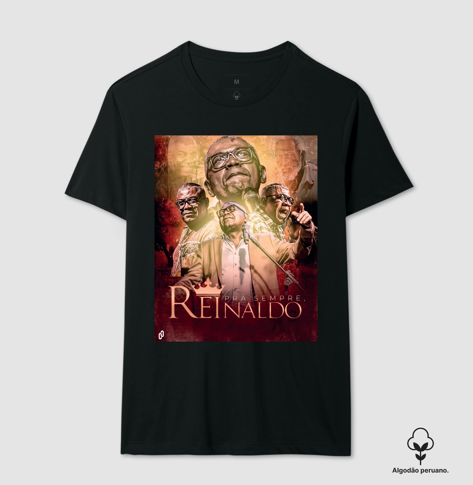 645 - REINALDO NOSSO ETERNO PRÍNCIPE.