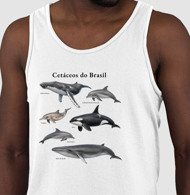 Cetáceos do Brasil