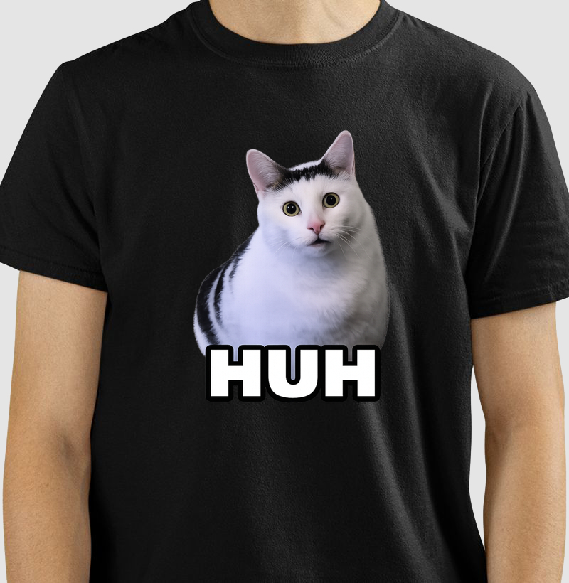 Gato Meme HUH