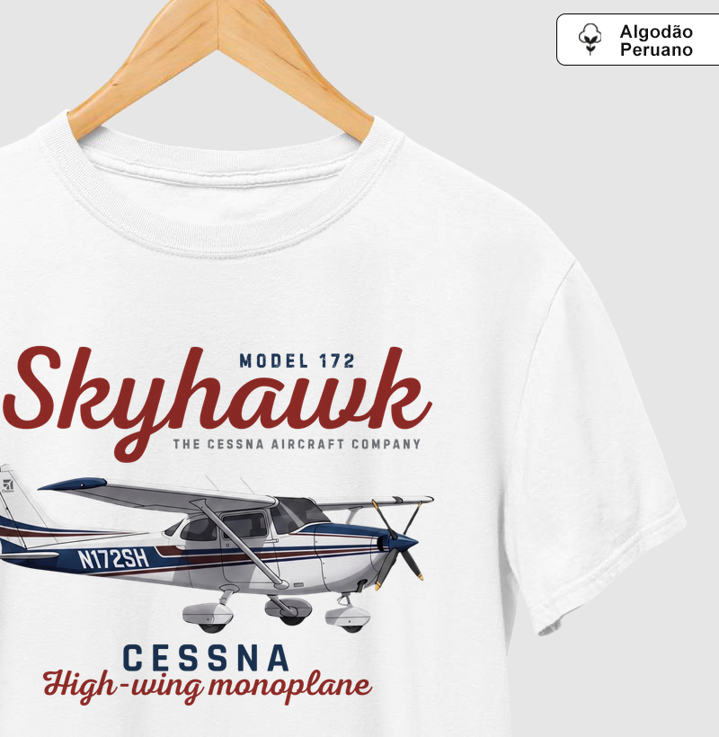 Cessna 172 Skyhawk - Vintage