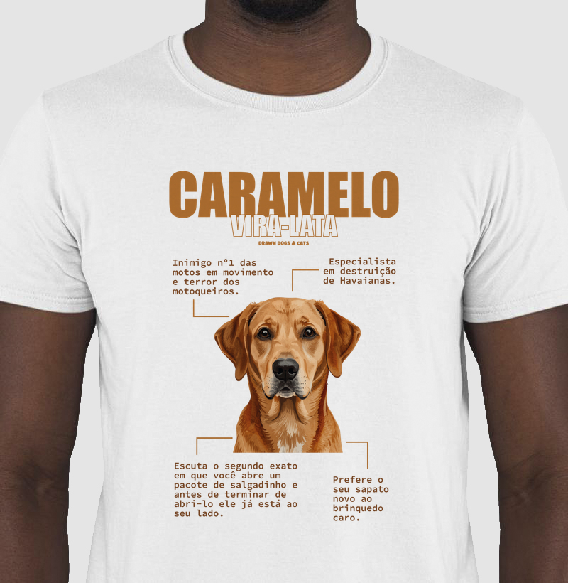 Vira-lata caramelo