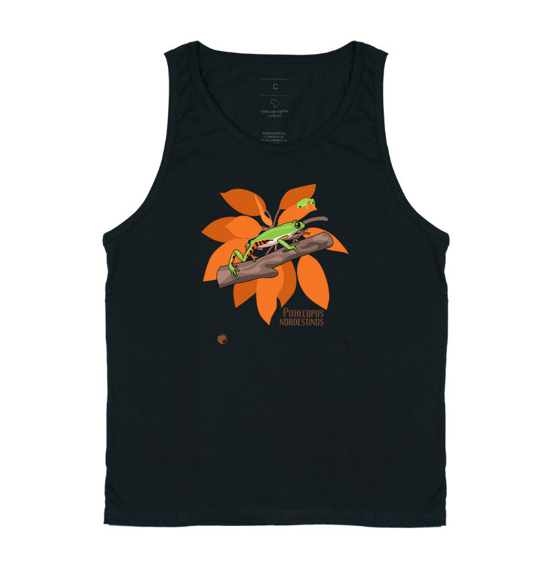 Pithecopus nordestinus