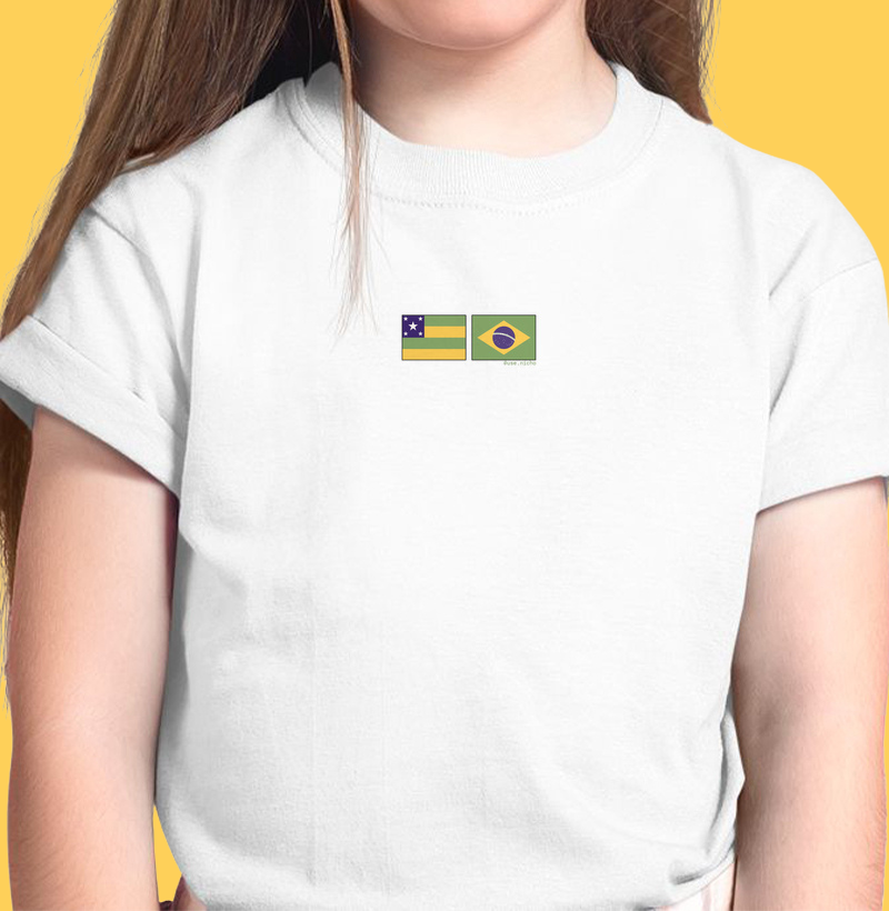 Bandeira Sergipe - Brasil