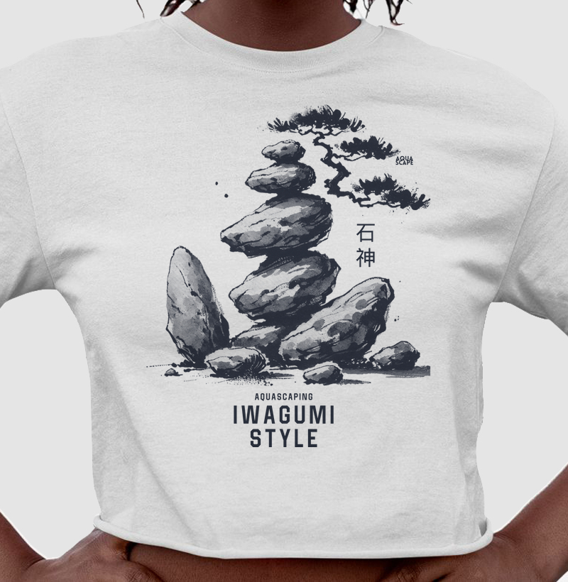 Iwagumi Style Japan: The Art of Stones ver. 2