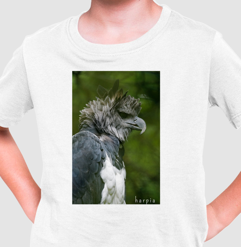 harpia