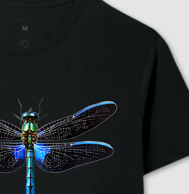 Libelula III - Noite