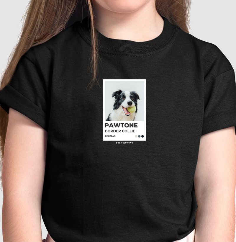 Pawtone Border Collie
