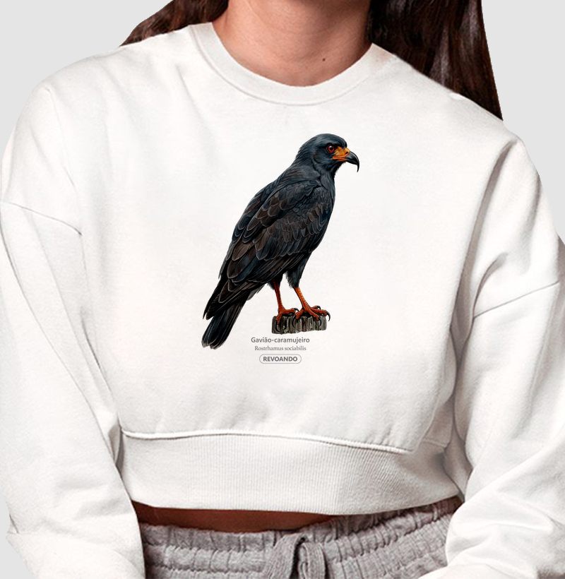 Traços Alados - Gavião-caramujeiro - Moletom Cropped